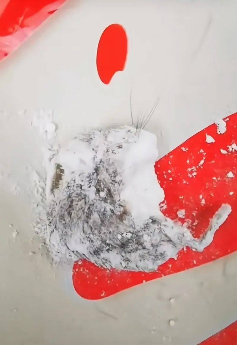 满被爆吃出老鼠其与啄木鸟同为雷军旗下顺为资本投资麻将胡了免费试玩婴幼儿辅食舆情盘点---秋田满(图8)